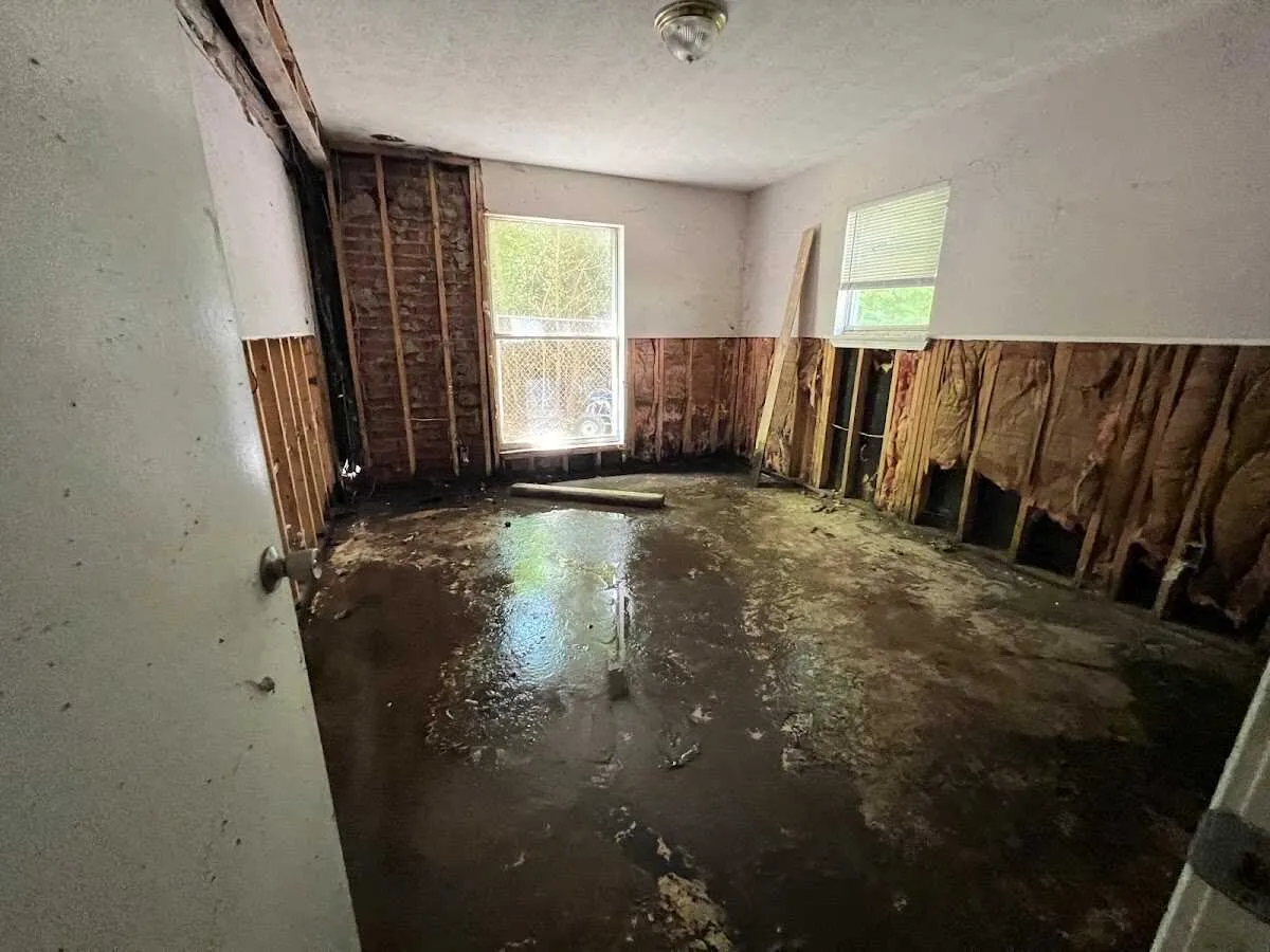 Flood Damage Cleanup in Springfield, NJ